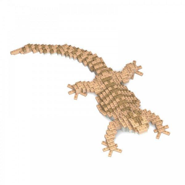 Jekca Limited  Bearded Dragon 