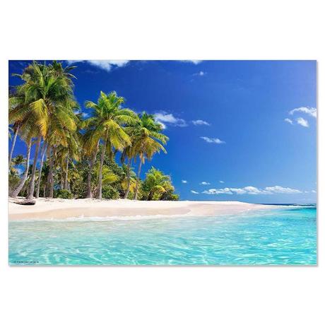 trendform Sous-main PALMS  