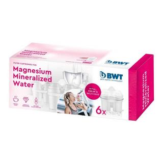 BWT  Set Wasserfilter und Eiswürfelform 