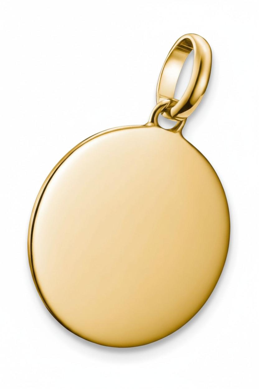 Thomas Sabo  Pendentif charm grande médaille Connect plaqué 