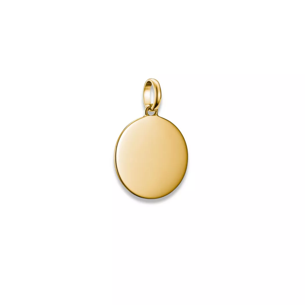 THOMAS SABO Charm Club Connect Gold Plated Large Round Charm CC1273-413-39