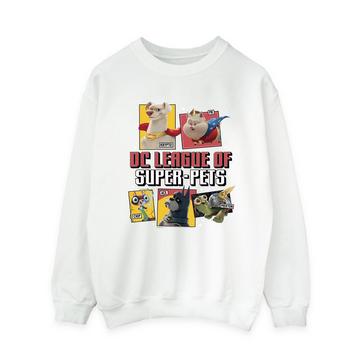 DC League Of SuperPets Sweatshirt