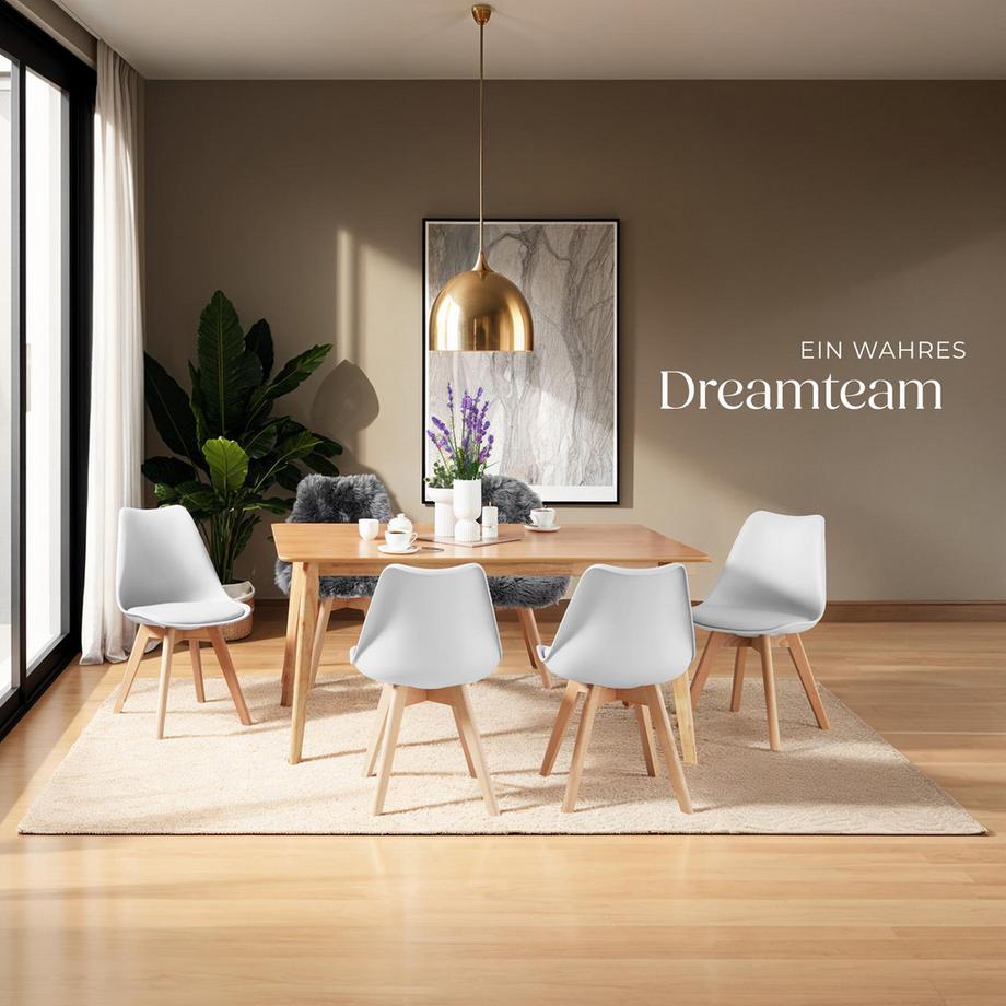 Tectake Set di sedie per sala da pranzo Friederike  Design scandinavo  