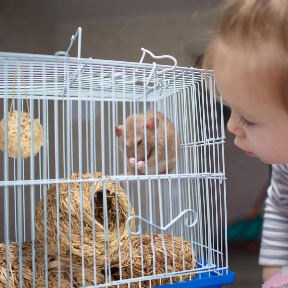 Northix  Hamster-Zubehör-Set 5-tlg. 