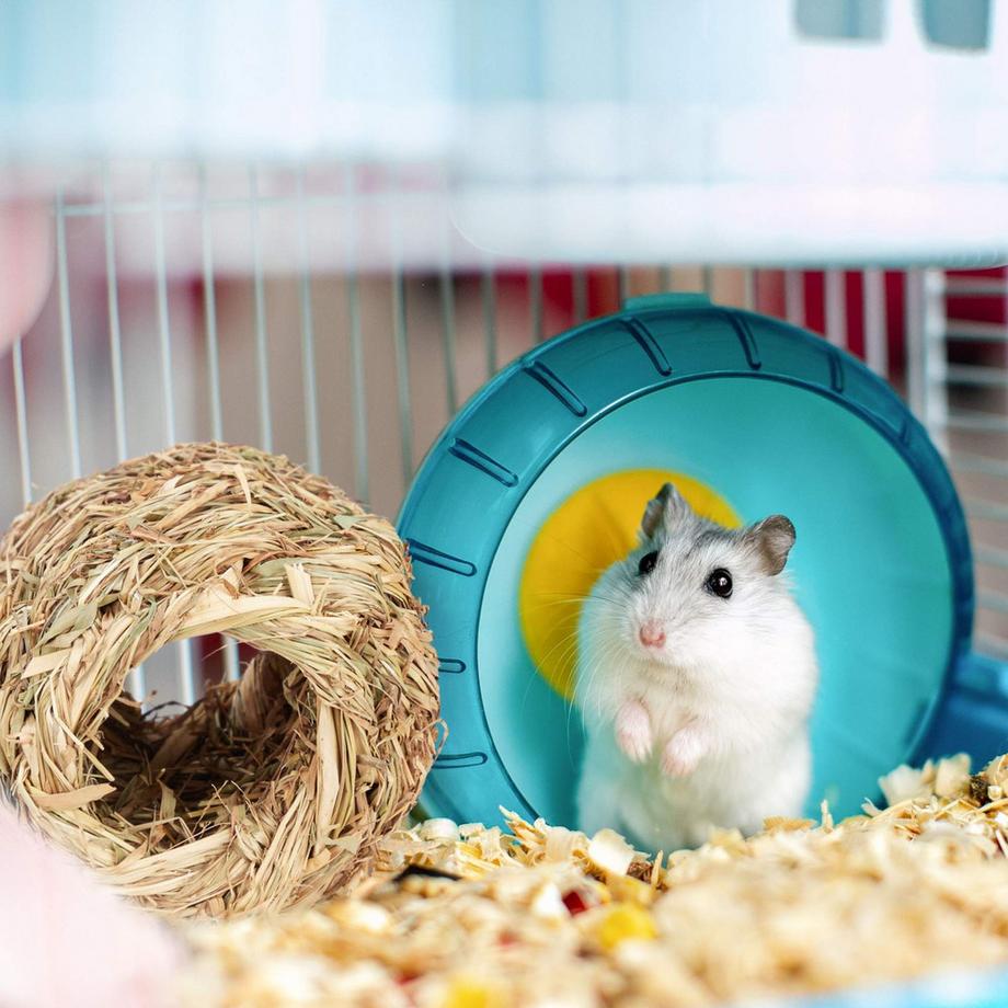 Northix  Hamster-Zubehör-Set 5-tlg. 