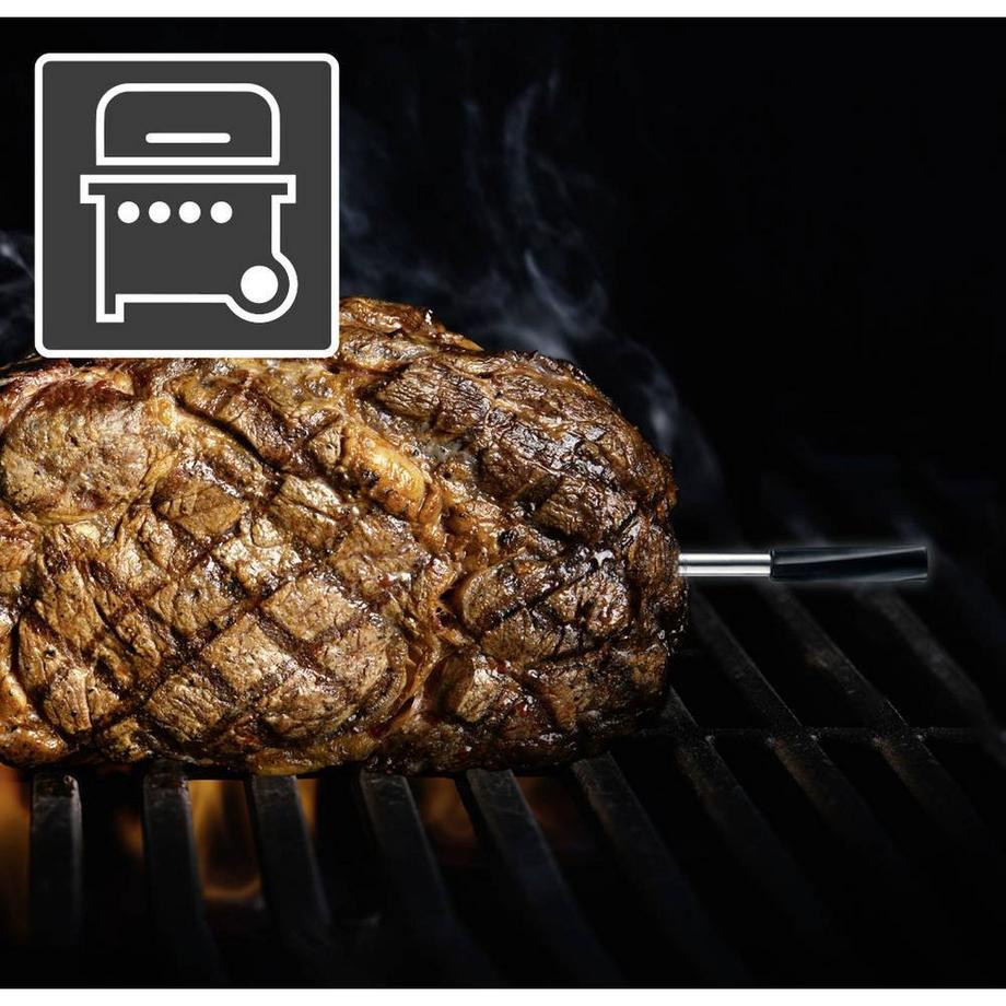 Laserliner  Kabelloses Thermometer zum Messen der Kerntemperatur verschiedener Fleisch Geflügel- und Fischsorten 