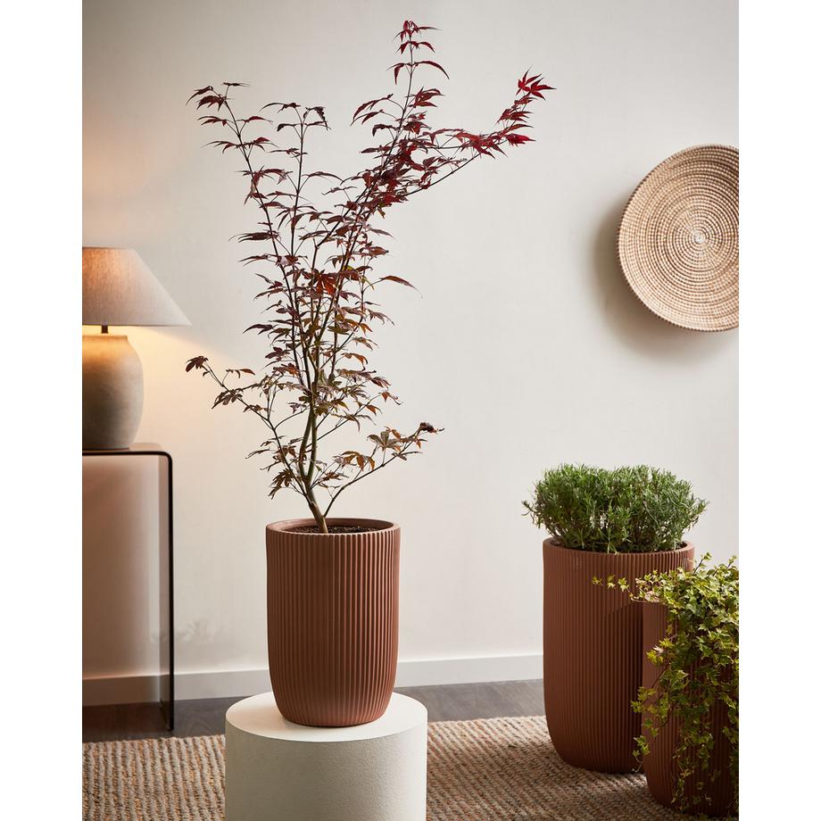 Beliani Vaso per piante en Fibra d'argilla Industriale EANTIO  