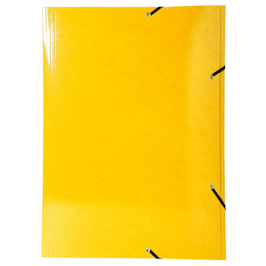 Exacompta Cartella 3 lembi con elastici Maxi Capacity cartoncino lustré 600g/mq Iderama - A3 - x 10  