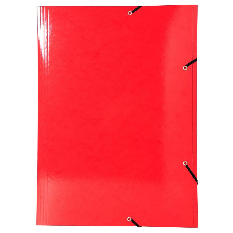 Exacompta Cartella 3 lembi con elastici Maxi Capacity cartoncino lustré 600g/mq Iderama - A3 - x 10  