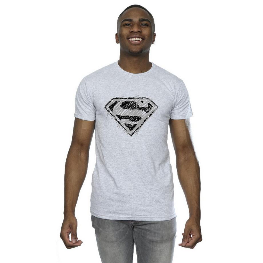 DC COMICS Superman Sketch Logo T-Shirt  