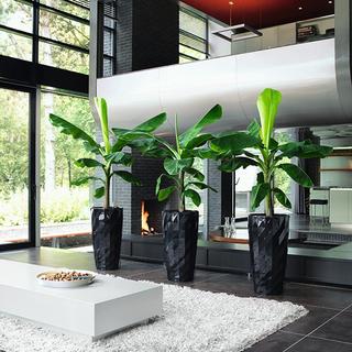 Lechuza DIAMANTE Premium all-in-one  