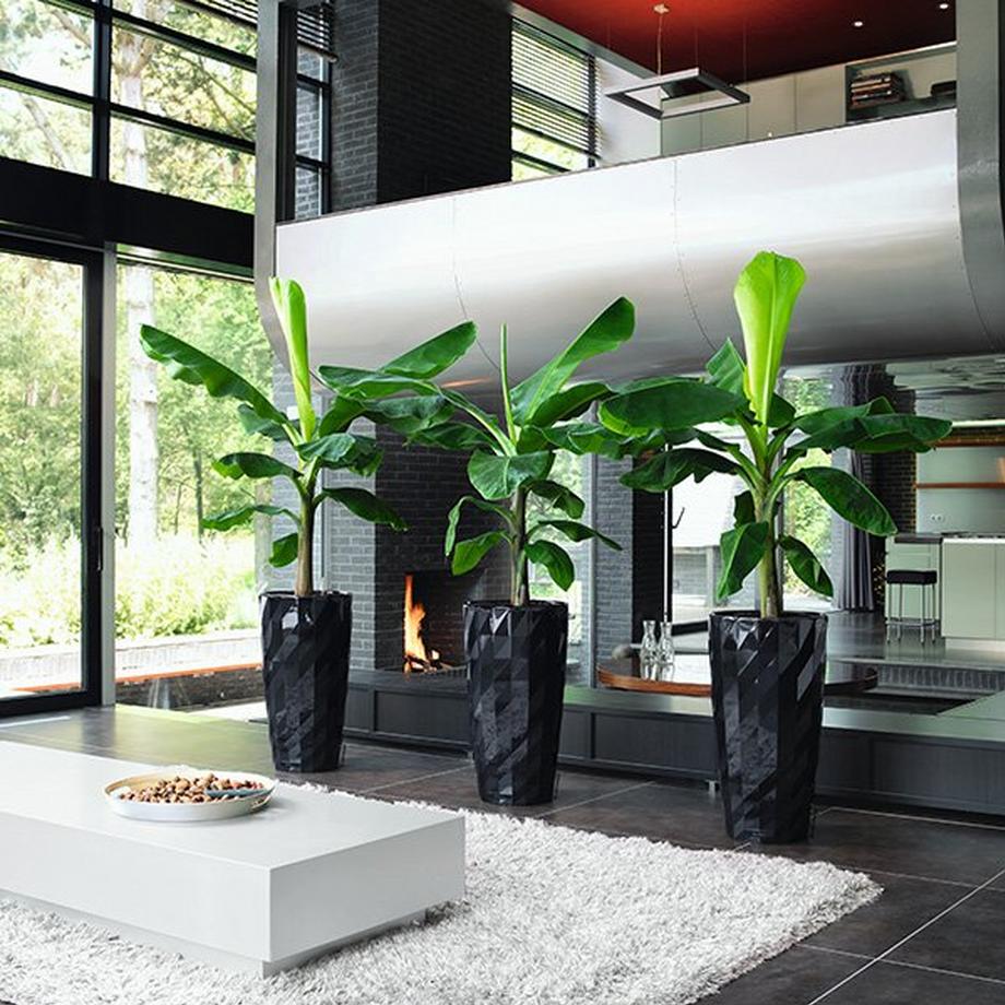 Lechuza DIAMANTE Premium all-in-one  