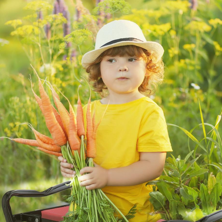 B2X Genouillère pour le jardinage  