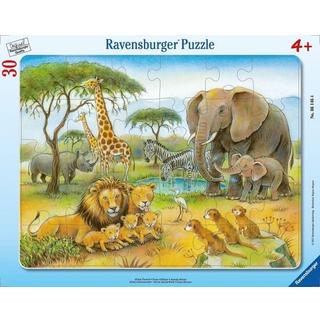 Ravensburger  Rahmenpuzzle Ravensburger Afrikas Tierwelt 30 Teile 