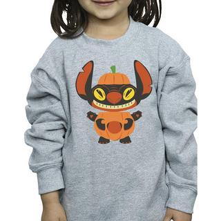 Disney  Sweatshirt 