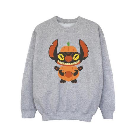 Disney  Sweatshirt 