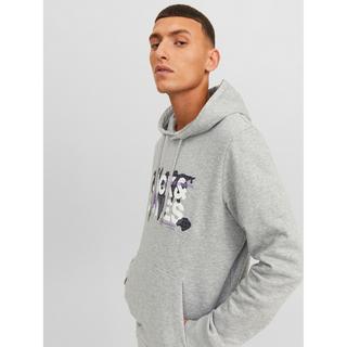JACK & JONES Jcodust Hoodie  