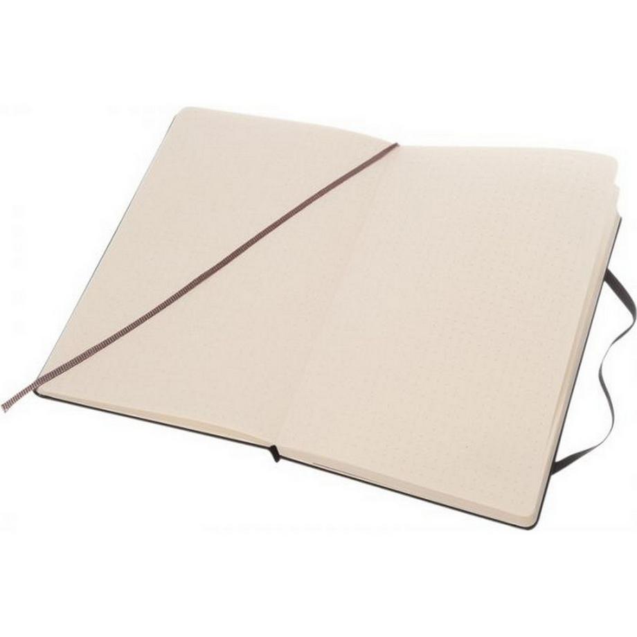 MOLESKINE Notizbuch Classic L, Punktemuster  