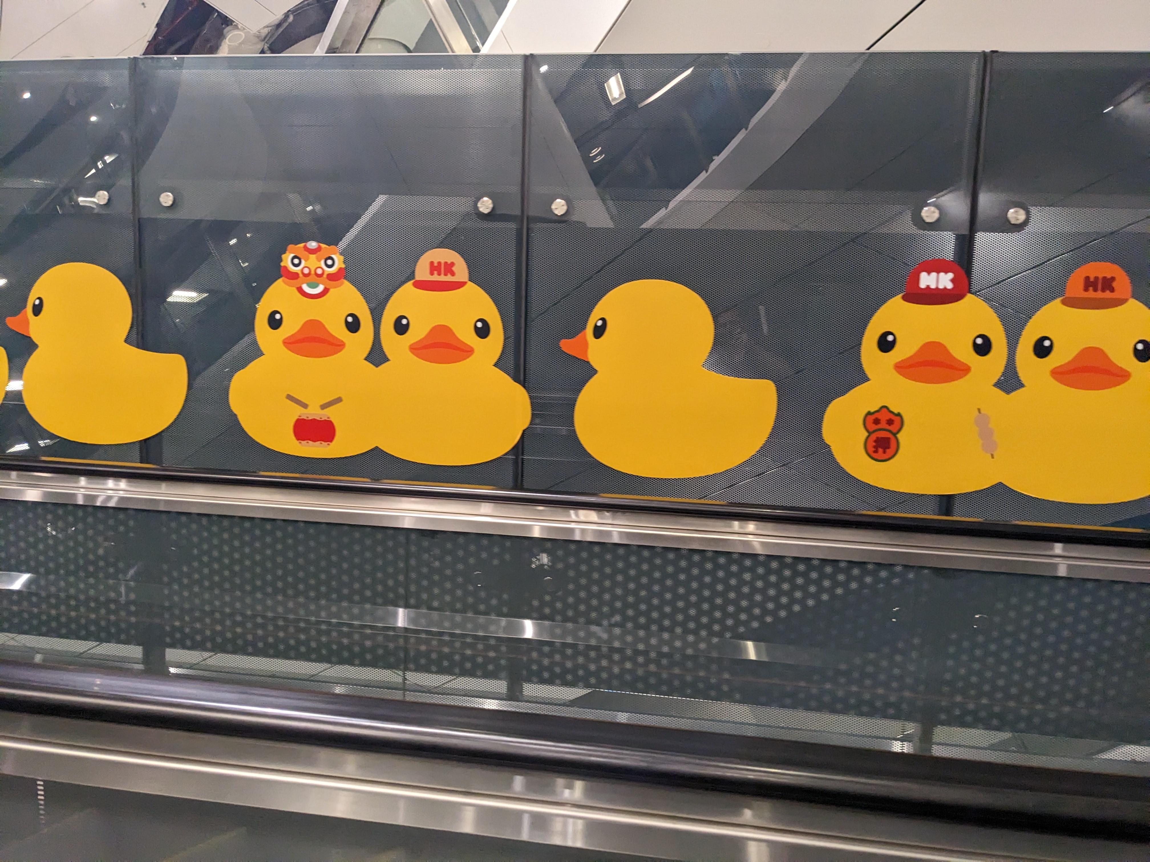 Image of Depp Rosé/brown Damen Roségold ONE SIZE