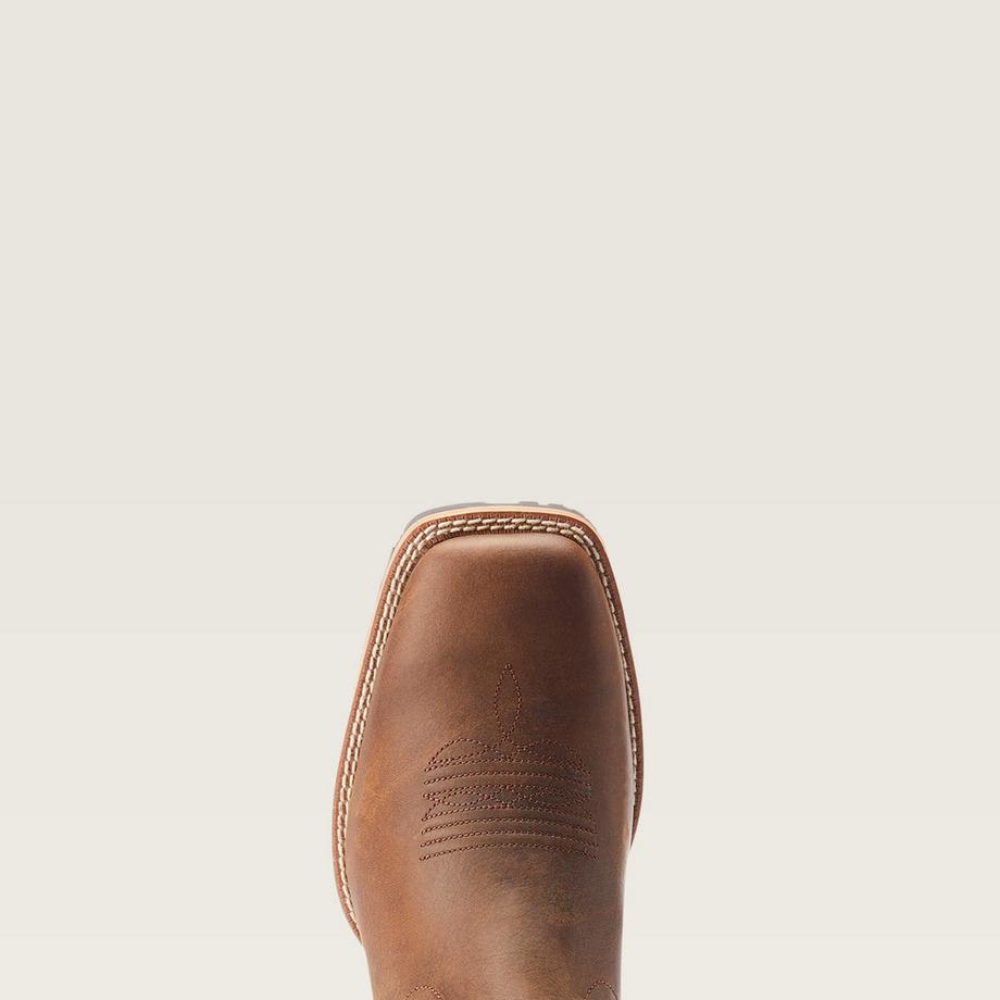 Ariat  stiefeletten hybrid low boy stone 