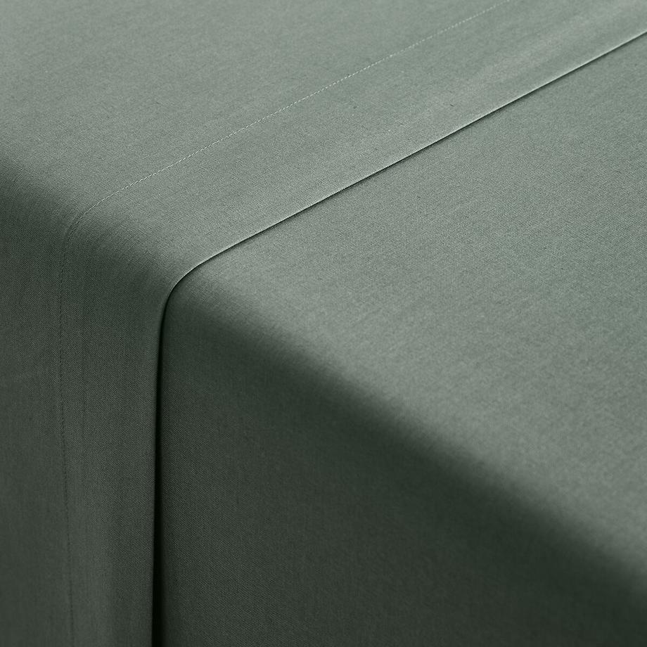 La Redoute Intérieurs Scenario Drap Plat Uni en Coton Biologique  