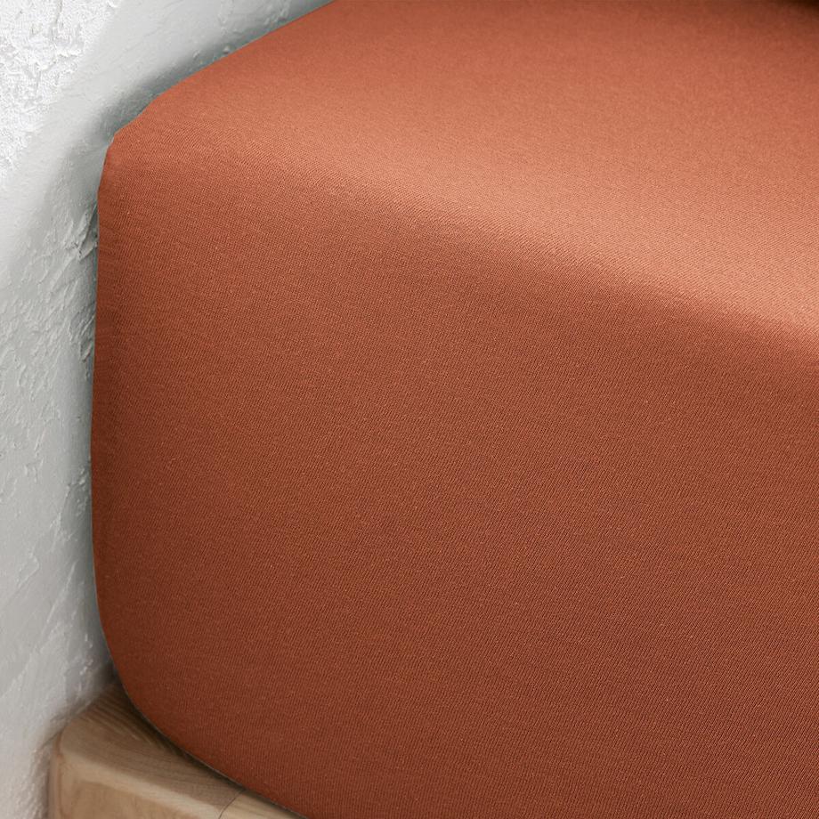 La Redoute Intérieurs Lenzuolo con angoli Scenario Jersey Cotone  