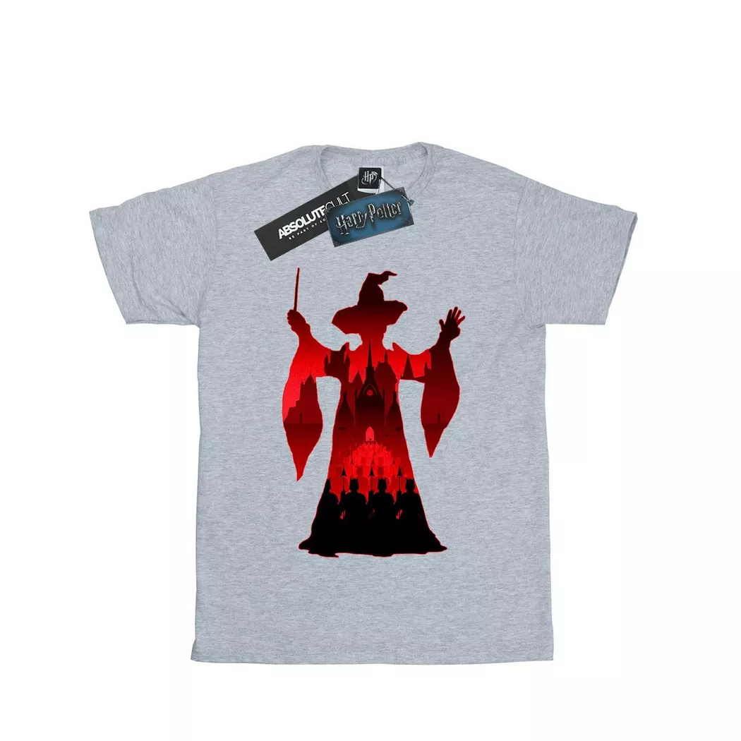 HARRY-POTTER - TShirt, per uomo, Grigio, Größe XXL