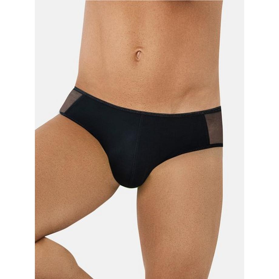 Cavallo a fascia Primal