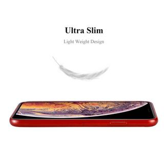 Cadorabo  Hülle für Apple iPhone XS MAX TPU Silikon im Brushed Design 