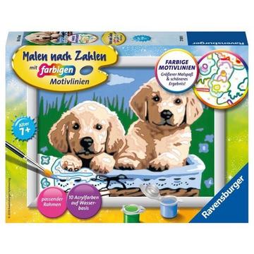 Ravensburger Malen nach Zahlen, Süße Hundewelpen