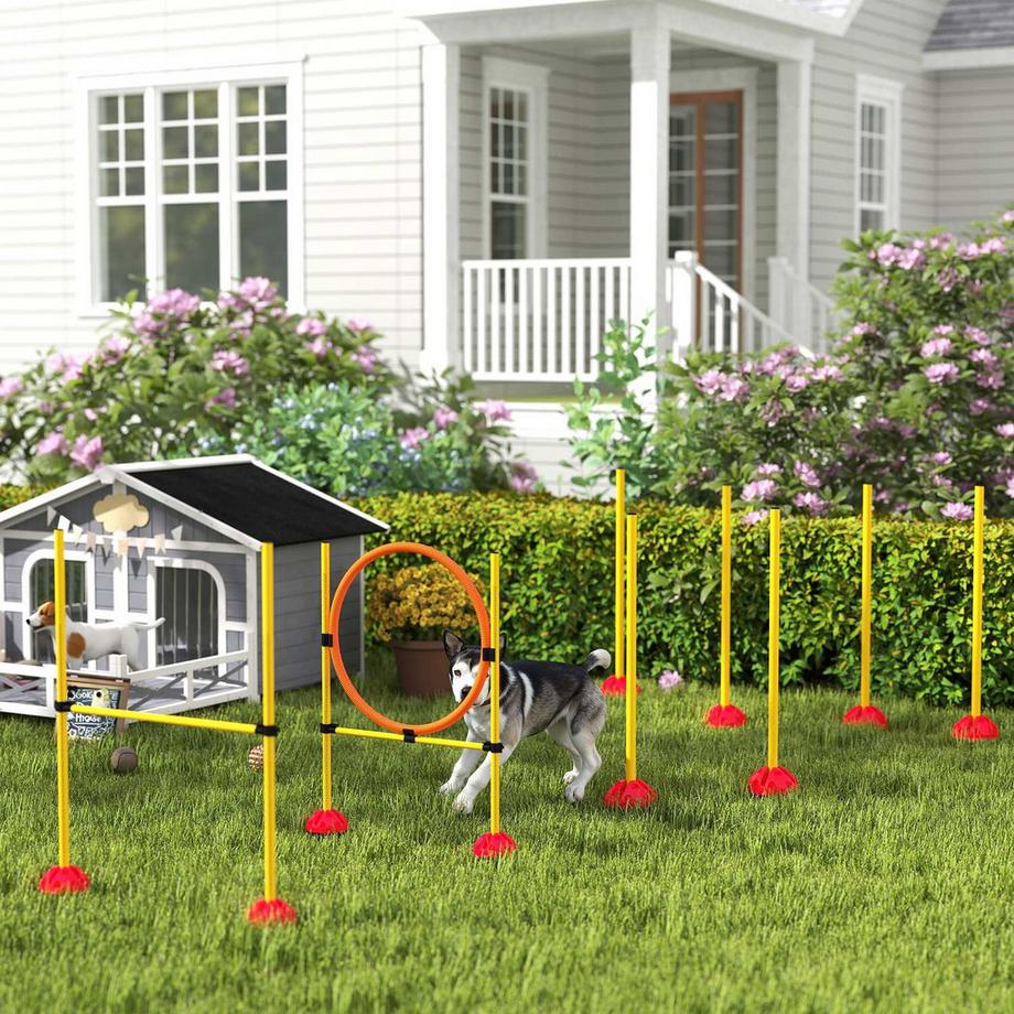 Northio  Dog Agility Set, équipement d'agilité remplissable 4 pièces pour le dressage de chiens, ensemble de haies avec poteaux de slalom, réglable en hauteur, haies, anneau de saut, entraînement de coordination pour les jeux, entraînement 