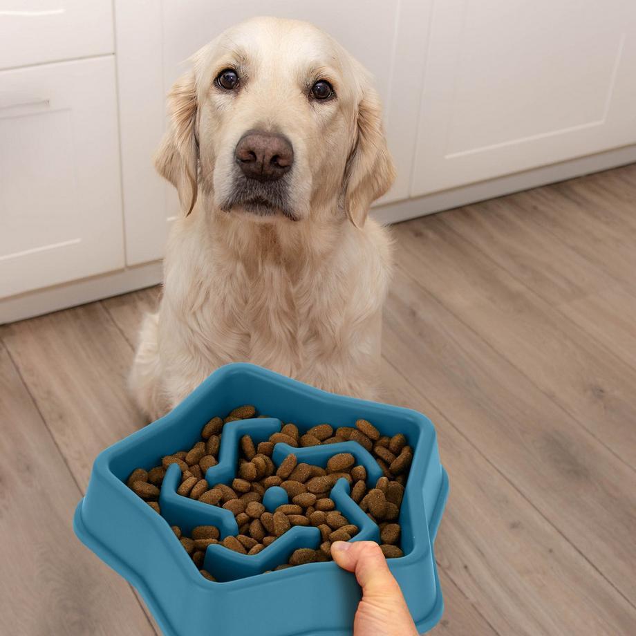 Northix  Anti-Schleuder-Schüssel 600 ml 