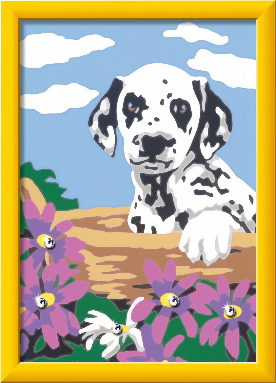 Image of Malen nach Zahlen Dalmatiner Welpe