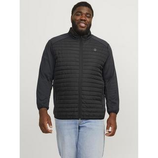 JACK & JONES  Doudoune grande taille  Multi 