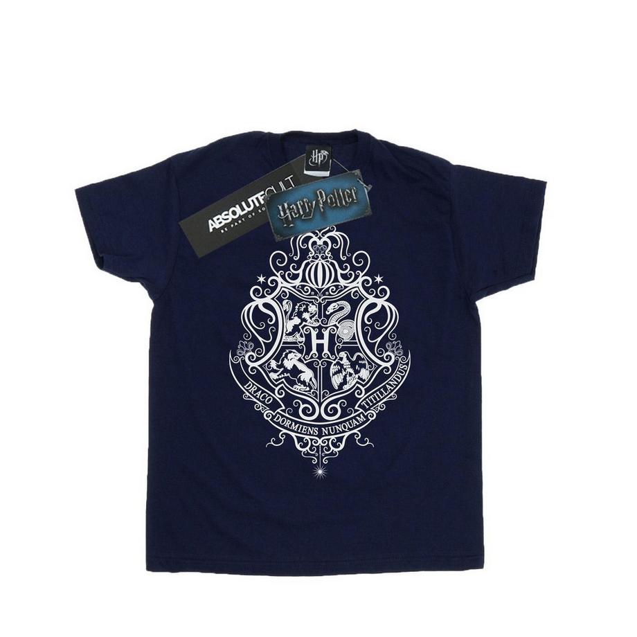 Tshirt HOGWARTS DRACO DORMIENS