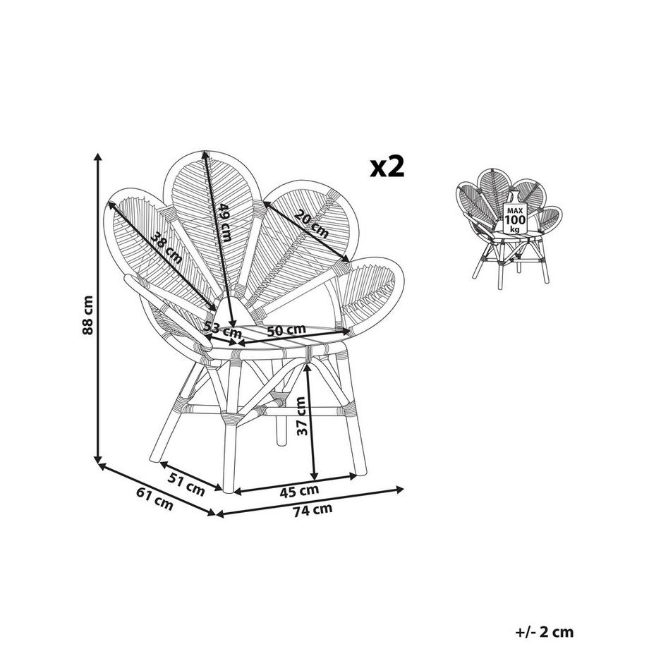 Beliani Set di 2 sedie Peacock en Rattan Boho FLORENTINE II  
