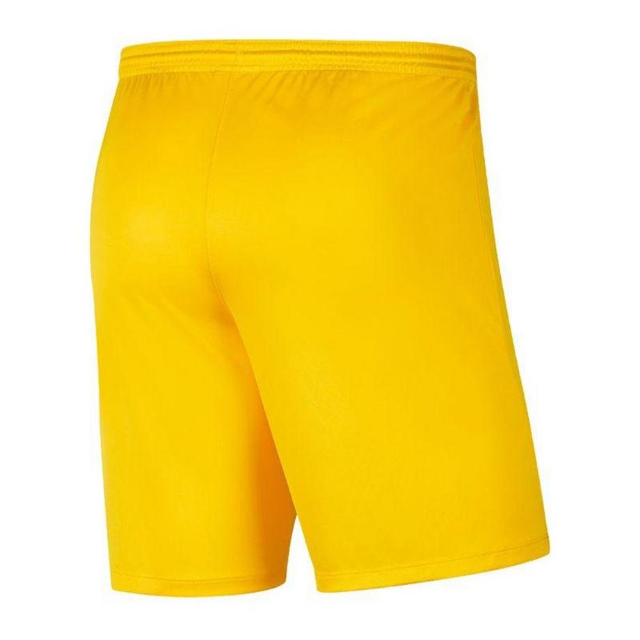 NIKE  Short Dry Park 