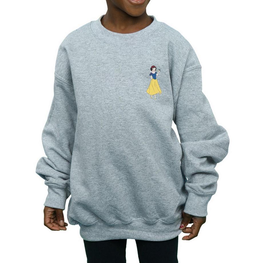 Disney PRINCESS  Sweatshirt 