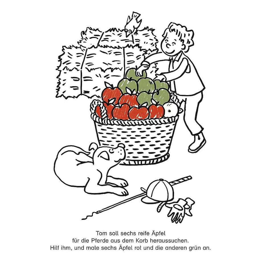 arena  Mein superstarker Kindergartenblock. Vergleichen und Zuordnen 