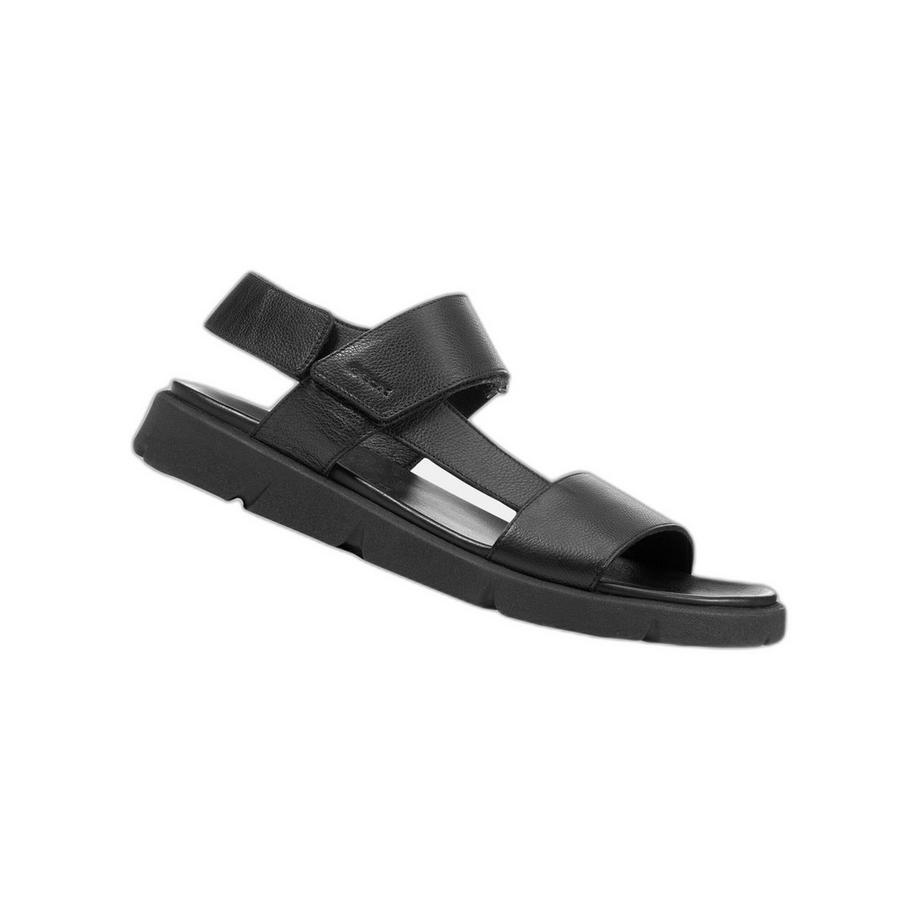 GEOX Xand-43 Sandalen  