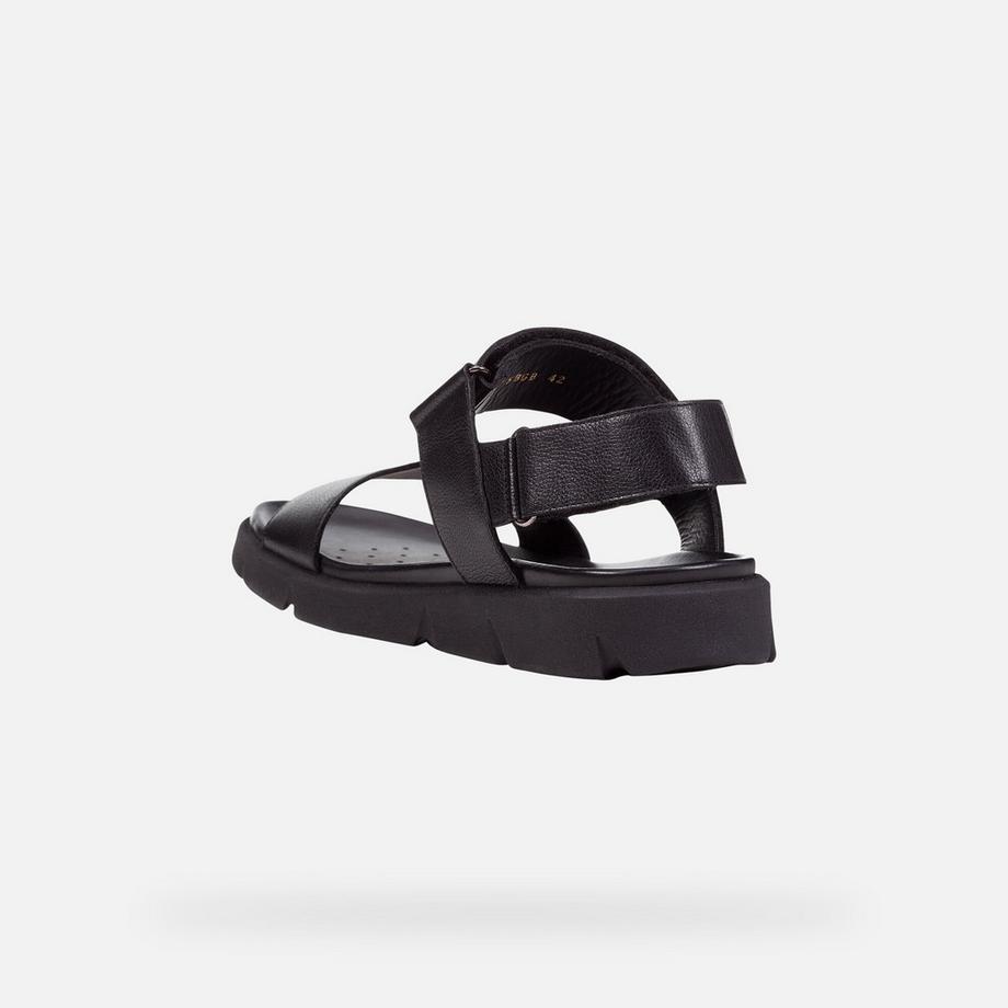 GEOX Xand-43 Sandalen  