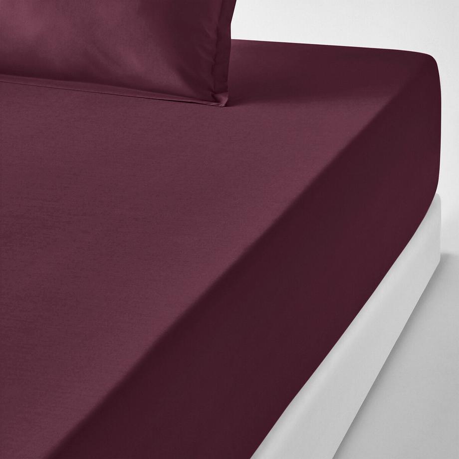 Drap housse percale coton