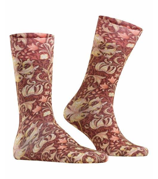 Image of Golden Laly So-40-46 Herren Rot 40-46