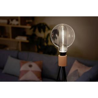 Philips Lighting LED Vintage Double Layer Lampe  