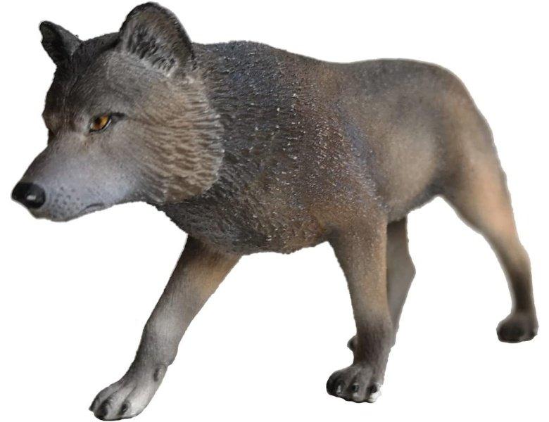 Image of Wolf