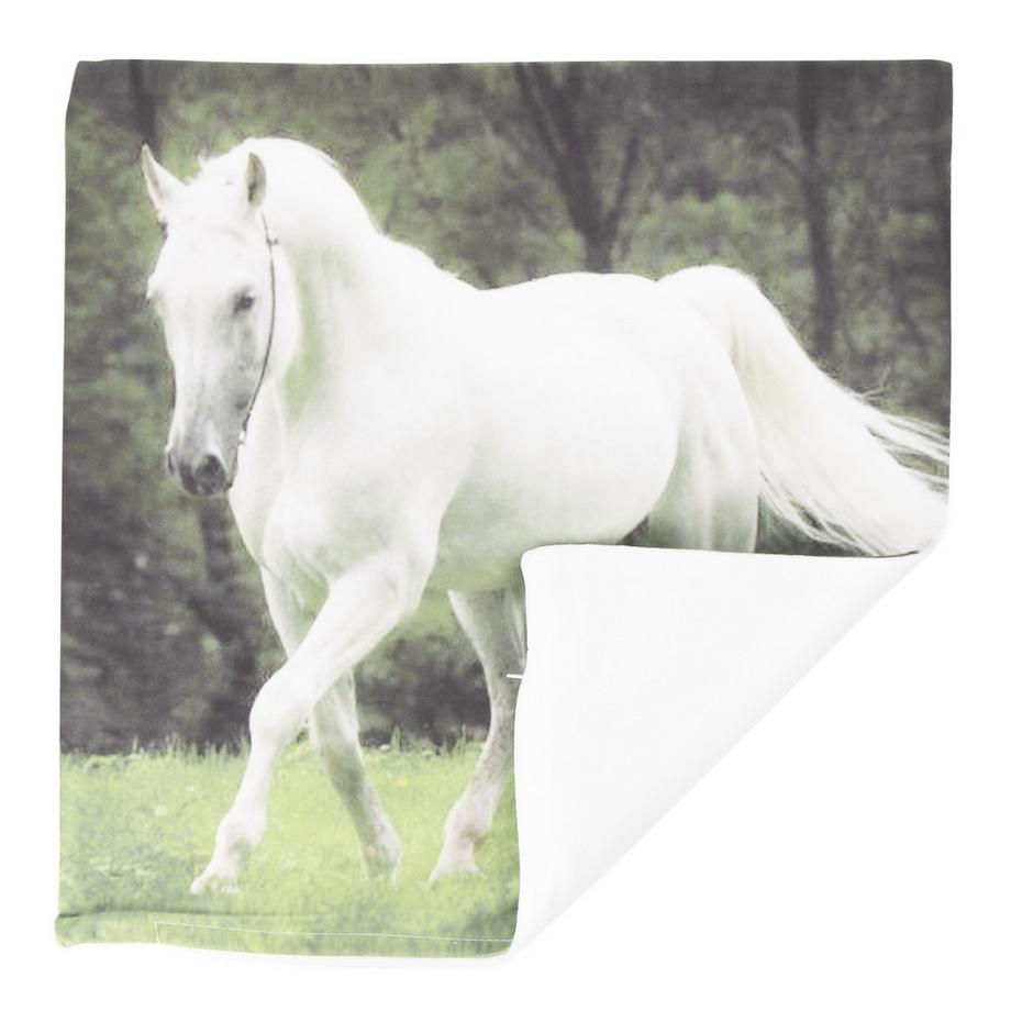 Avizar 2 Stk. Kissenbezüge Pferd  