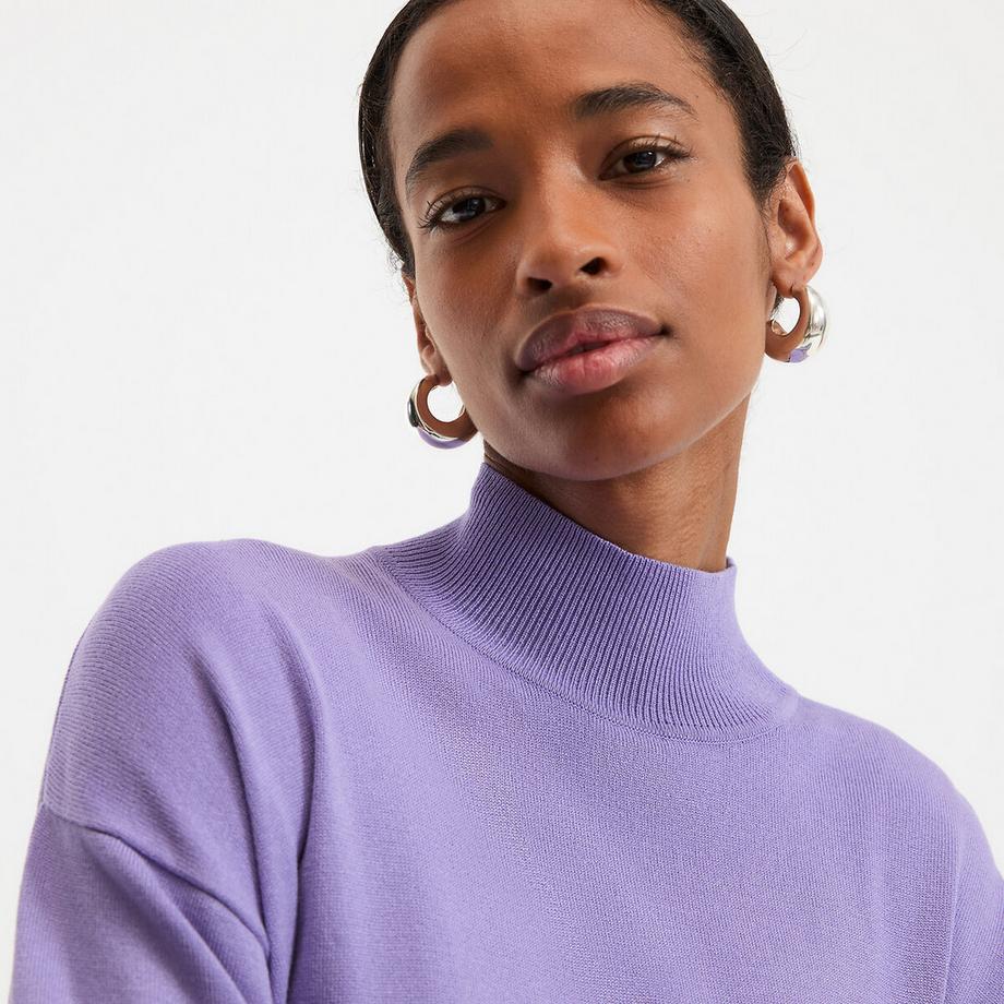 La Redoute Collections Pullover Stehkragen  