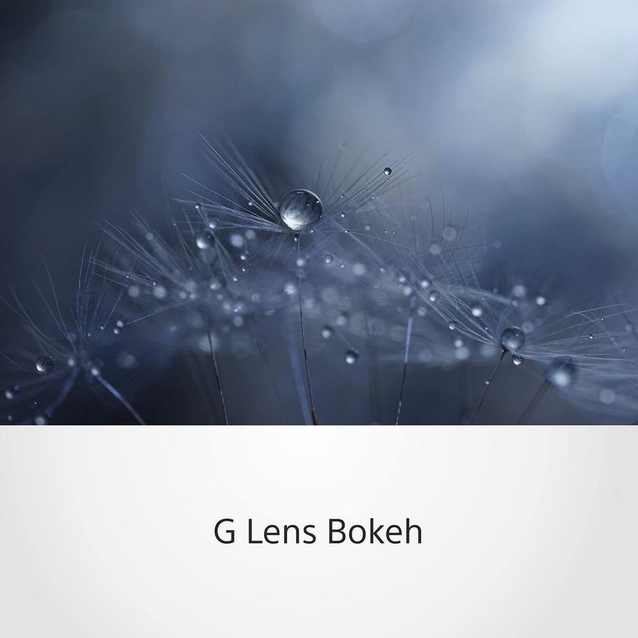 SONY  FE 90mm F/2.8 Makro G OSS Spiegelloses Objektiv Schwarz 