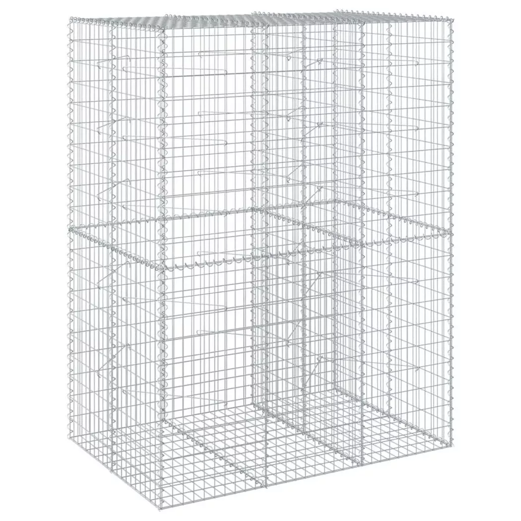 VidaXL - Panier gabion fer, One Size, Argent