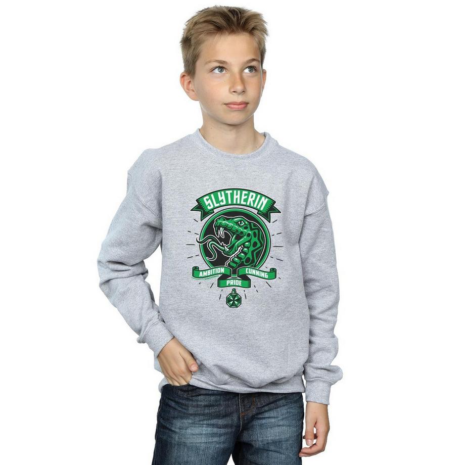 Harry Potter  Slytherin Sweatshirt 